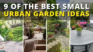 9 of the Best Small Urban Garden Ideas