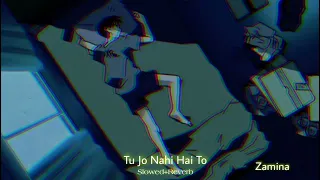 Tu Jo Nahi Hai To (slowed+reverb) | Zamina