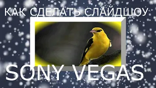 Как сделать красивое слайд - шоу с картинки SONY VEGAS про