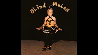 Blind Melon - No Rain (D Tuning)