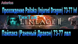 73 Pailaka   Injured Dragon Пайлака   Раненый Дракон 73-77 лвл астериос фарм редбоссы зароботок