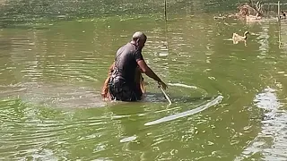 Dipping method of fishing in the canal।। village fishing।। fishing boats।। rsl fish cutting