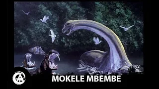 Cryptid Profiles - Mokele Mbembe