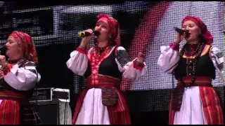 Иван Купала, Кострома, Фестиваль Folkday