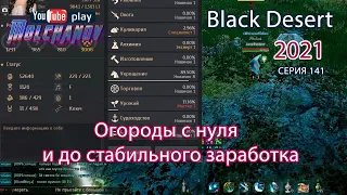 Огород с нуля до стабильного заработка. Black Desert 2021.