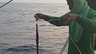 #tutorial sa pag silo Ng swordfish