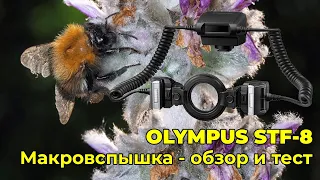 Olympus STF-8 - обзор макровспышки