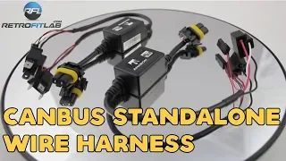 Canbus standalone wire harness