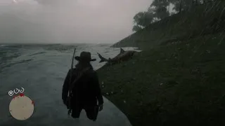 RDR2 - The Real Reason You Can't Study The Guarma Shark