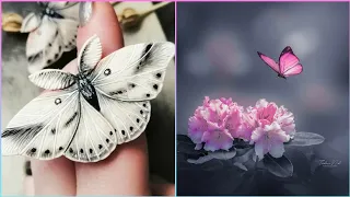 30 Beautiful Butterfly Images, Butterfly Dpz,Butterfly DP For WhatsApp,Unique Dp'z Images