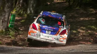 Rallye Ain-Jura 2024  - Mistakes - Adrille Rallye