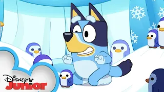 Bluey Season 3 Episode 38 "Cubby" Episode Clip | @disneyjunior x @BlueyOfficialChannel