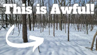 3 Reasons You Have Terrible Winter Deer Habitat and How to Fix It