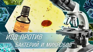 КАК ЭФФЕКТИВНО ЙОД УБИВАЕТ БАКТЕРИИ | ВЗГЛЯНЕМ ПОД МИКРОСКОП