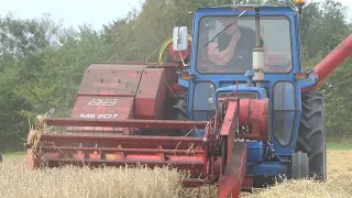 Ford 5000 in the field harvesting w/ JF MS707 Combine Harvester | Harvest 2020 | DK Agriculture
