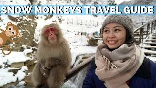 Snow Monkeys of Japan | Jigokudani Monkey Park Nagano Travel Guide