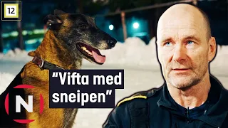 Politihund hjelper å finne en blotter | Politihundene | TVNorge