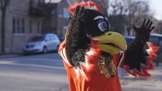 Chicago Blackhawks #BMOBiggestFan | Tommy Hawk Teaser | BMO Harris Bank