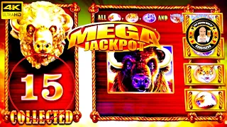 15 GOLD HEADS AGAIN on MAX BET pays MASSIVE JACKPOT on Buffalo Gold