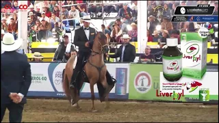 CAMPEONATO DE POTROS Y CABALLOS DE TROTE Y GALOPE COLOMBIANOS, XII MUNDIAL CONFEPASO 2017