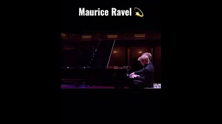 #Shorts #Piano #Brothers Lucas and Arthur Jussen play Maurice Ravel’s “Ma Mère L’Oye”.