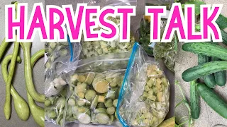 Backyard gardening HARVESTS & SEED SAVING in SMALL SPACE GARDEN #garden #harvest #harvesting