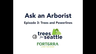 Ask an Arborist Seattle Tree Ambassadors Ep 3