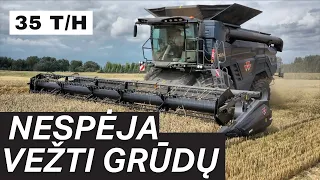 BROLIAI DŽIAUGIASI KOMBAINO NAŠUMU || AGRO REIDAS