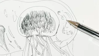[Pen drawing] Let's draw a jellyfish. #drawing #sketch @ryotatakano