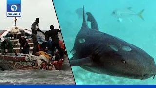 Exploring The Ocean: "Life Below Water" | Earthfile