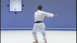JKA Kankusho (48 moves ) by Osaka Sensei