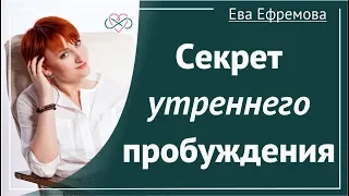 Секрет утреннего пробуждения (Рассказывает Ева Ефремова)