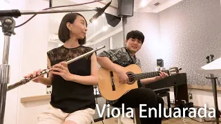 Viola Enluarada | Marcos Valle | Guitar & Jazz Flute, Bossa Nova