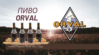 Пиво Orval - самое редкое пиво 2021 года, настоящий крафт, лучший пример сухого охмеления / MF