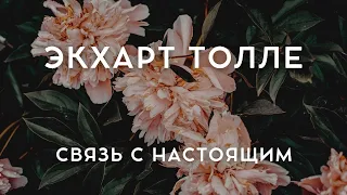 Экхарт Толле - КАК ПОДДЕРЖАТЬ СВЯЗЬ С НАСТОЯЩИМ [Лекции 04] Nikosho