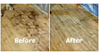 How to Remove Pet Urine Stains From Hardwood Floors