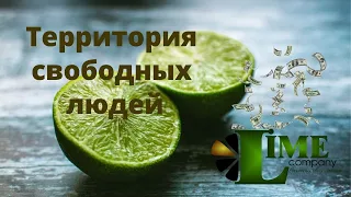 Маркетинг план BitLime Lime company