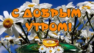 ДОБРОЕ УТРО 😃Желаю Прекрасного Дня 🥰 Чудесного Настроения 🎶Очень красивая музыка Андрея Обидина