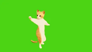 Dance Like A Cat With This Fun Green Screen Video!