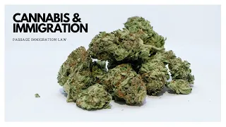 Immigration Consequences of Cannabis Use | Passage Law