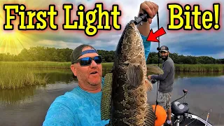 Maryland Snakehead Fishing - First Light Bite was FIRE!!