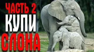 Planeta Zoo ЧАСТЬ 2 КУПИ СЛОНА