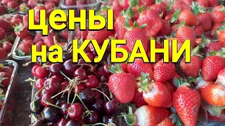 ЦЕНЫ НА КУБАНИ, клубника по 250, черешня 350