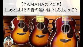 【YAMAHAアコギ】LL6とLL16の違い（LJ,LSも）～店頭でジックリ試奏した感想～