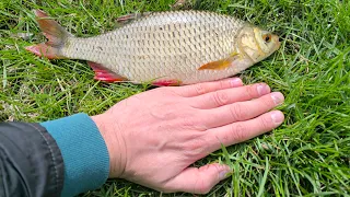 Рибалка 🎣 на лаптів🐟 на Сіверському Донці у квітні. Фідер, спінінг...