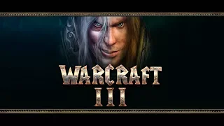 WarCraft III 2 vs 2 c Майкером [28 Января 2018г ]