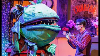 Little Shop of Horrors Trailer - Ashland Productions