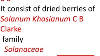 #Solanum#solanum khasianum # solanaceae# explain in detail including all important points and terms.