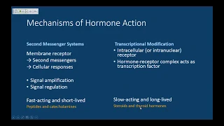 MCAT Endocrinology