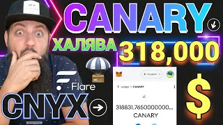 Аирдроп CANARY всем держателям CNYX / SGB 🔥 CanaryX DAO Songbird | Ripple FLARE СЕТЬ  The airdrop